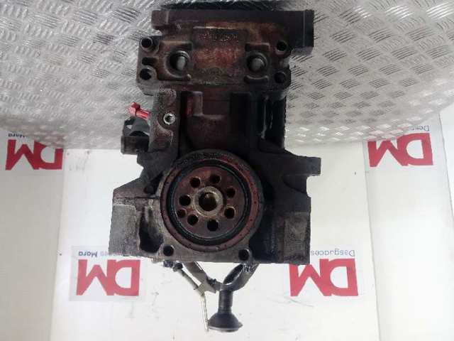 F1AE0481G Iveco Motor montado