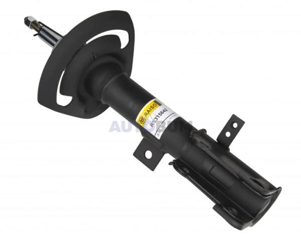 Compre RS315642 Raiso Amortecedor dianteiro direito