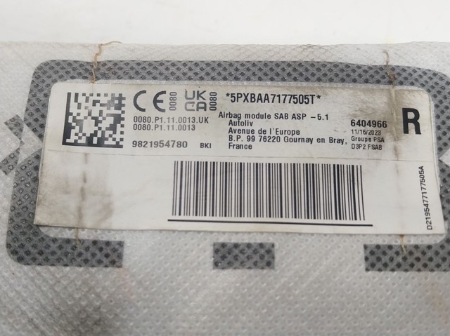9821954780 Peugeot/Citroen Airbag da porta traseira direita