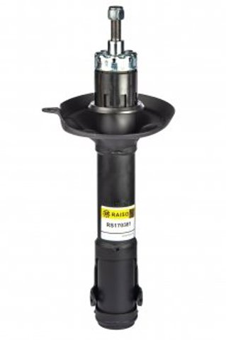 Amortecedor dianteiro RS170381 Raiso