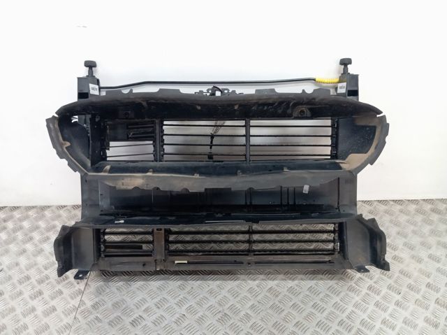 Suporte do radiador montado (painel de montagem de fixação das luzes) 2489122 Ford