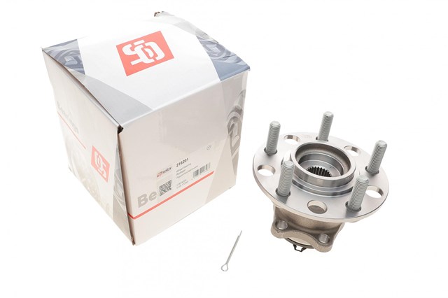 Cubo traseiro 216201 Solgy