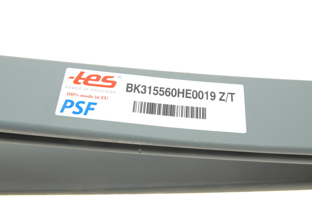 Suspensão de lâminas traseiro TES BK315560HE0019ZT