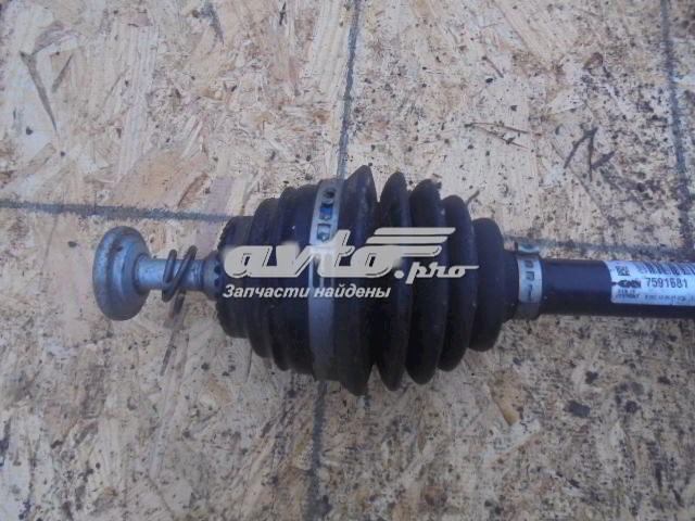Compre 7591681 BMW 