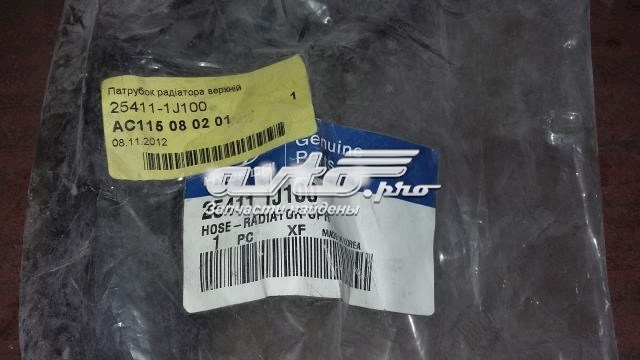 Compre 254111J100 Hyundai/Kia Mangueira (cano derivado) do radiador de esfriamento superior