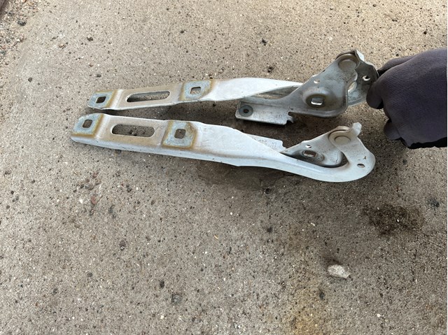 Compre 9816484780 Peugeot/Citroen Gozno da capota direito