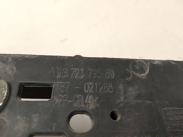 9672379580 Peugeot/Citroen 