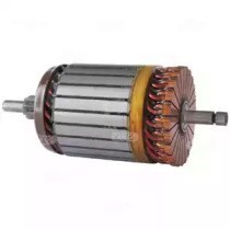 Induzido (rotor) do motor de arranco Cargo 139593