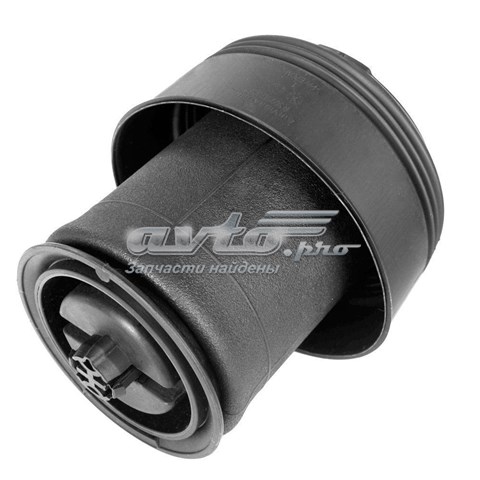00551 Metalcaucho 