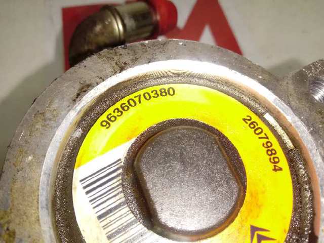 Bomba da Direção hidrâulica assistida 9636070380 Peugeot/Citroen