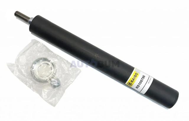 Amortecedor dianteiro RS100786 Raiso