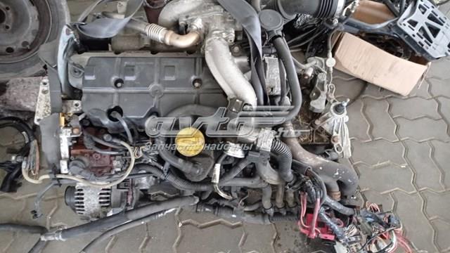 Compre F9Q804 Renault (RVI) Motor montado