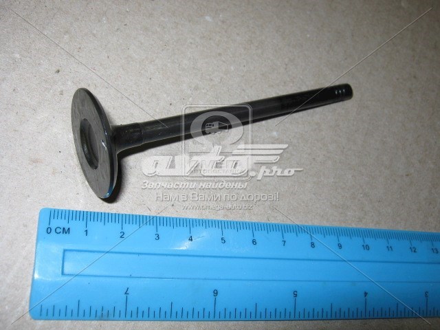 Válvula de admissão V95013 AE