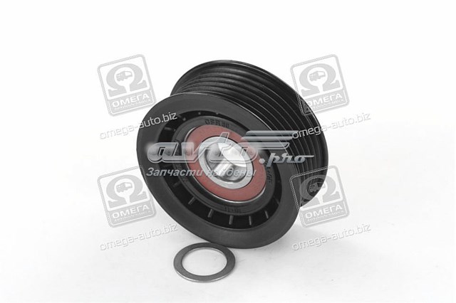 Rolo parasita da correia de transmissão CX/Complex CX8040