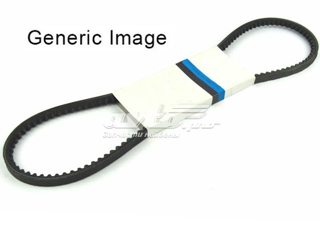 Compre 13X1015 Continental/Siemens Correia dos conjuntos de transmissão