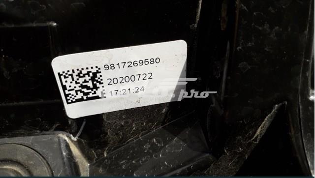 Compre 9817269580 Peugeot/Citroen 