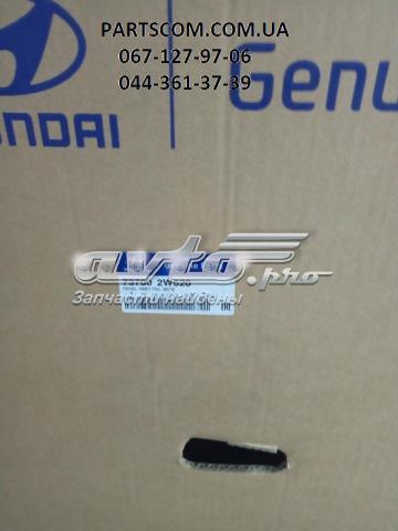 Porta traseira (3ª/5ª porta-malas (tampa de alcapão) 737002W520 Hyundai/Kia