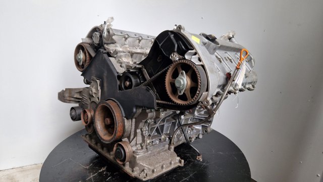 Motor montado VAG BFL