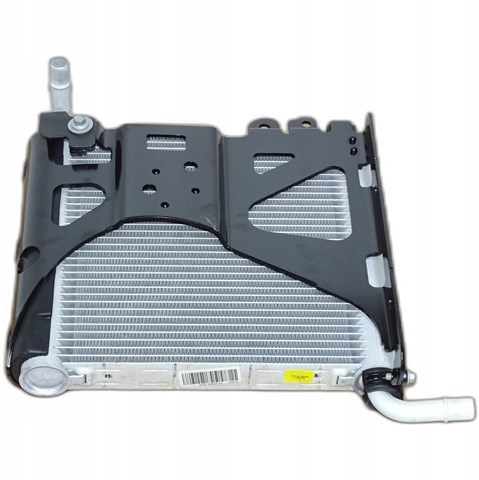 T4A50609 Jaguar 