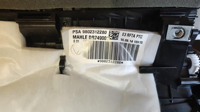 1611705380 Peugeot/Citroen Caixa de forno montado