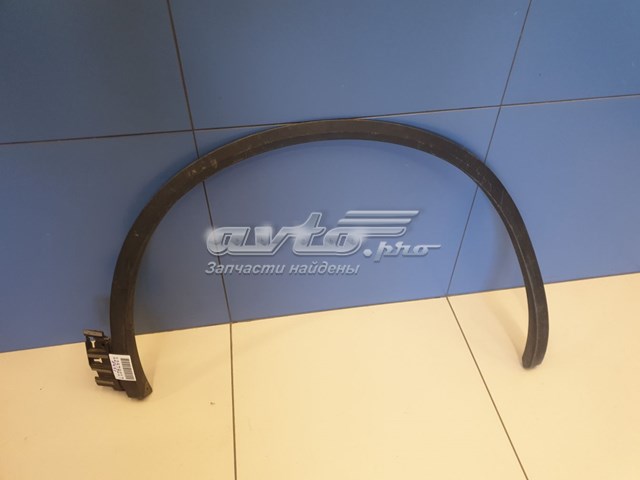 Expansor (placa sobreposta) de arco do pára-lama dianteiro direito 760853718AGRU VAG