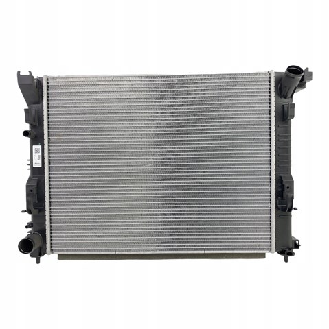 Radiador de esfriamento de motor Renault (RVI) 214103473R