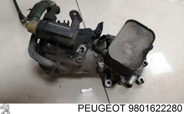 Caixa do filtro de óleo Peugeot/Citroen 9801622280