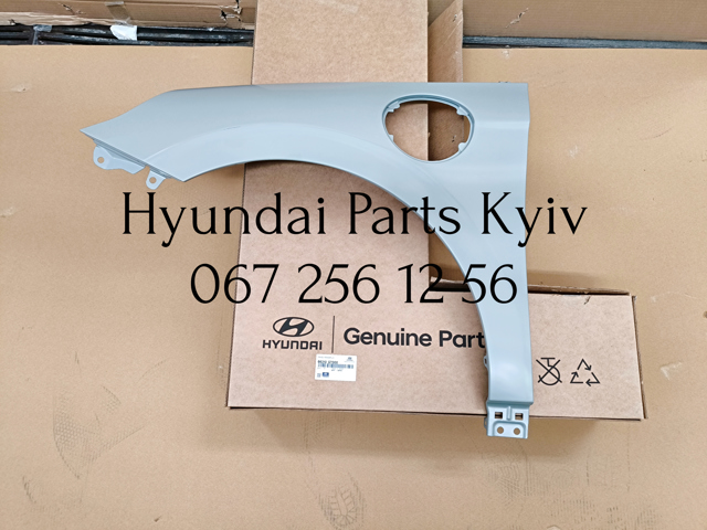 Pára-lama dianteiro esquerdo Hyundai/Kia 66310G7000 preço, a partir de 255,72 USD