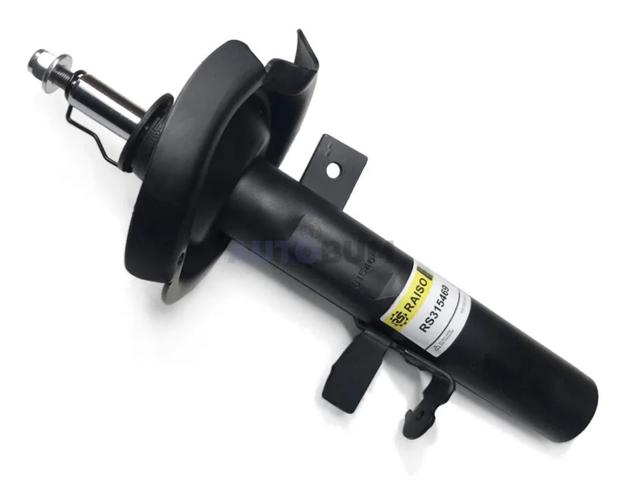 RS315469 Raiso Amortecedor dianteiro esquerdo