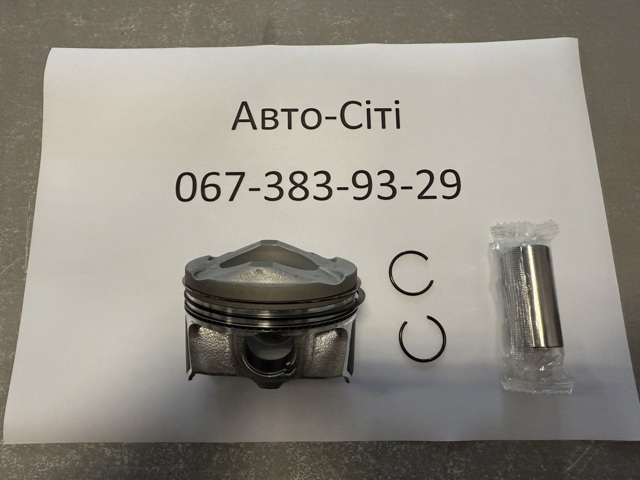 130021000800 NE/NPR Pistão do kit para 1 cilindro, STD