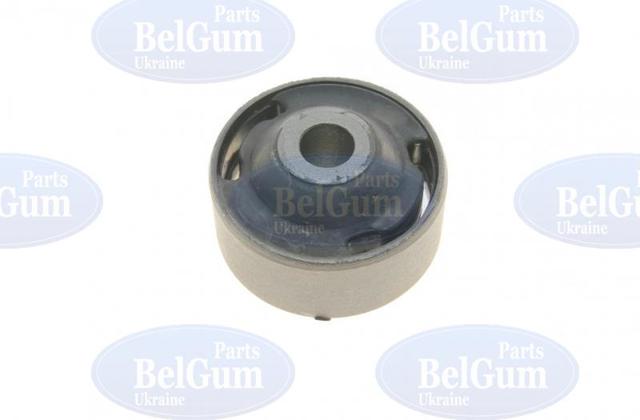 BG2281 Belgum Bloco silencioso dianteiro do braço oscilante inferior