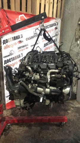 D4204T Peugeot/Citroen Motor montado