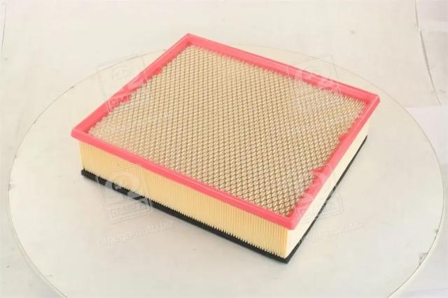 Filtro de ar RD1340WA6342S Rider