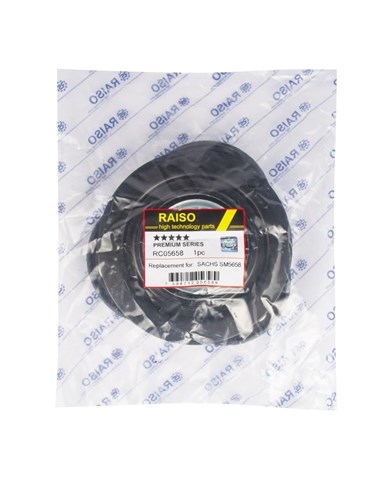 Compre RC05658 Raiso Suporte de amortecedor dianteiro