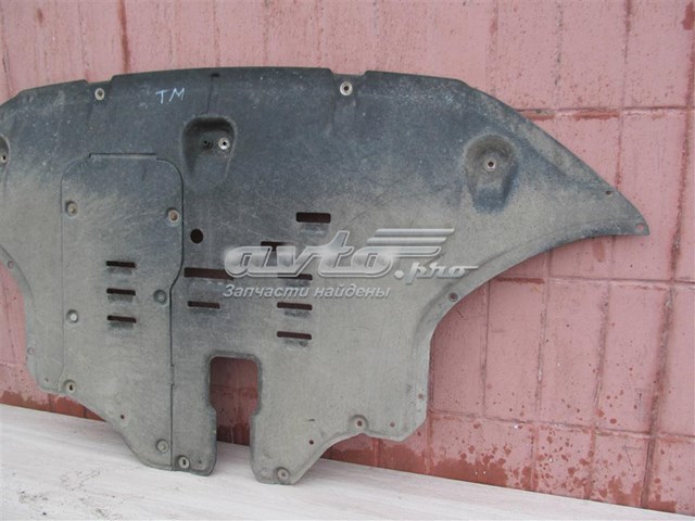 29110S1000 Hyundai/Kia Proteção de motor dianteira