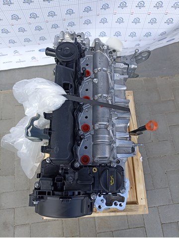 1636260080 Peugeot/Citroen Motor montado