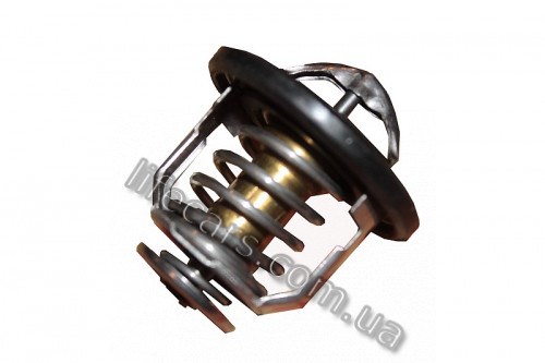 Compre 1018020600 BYD Termostato