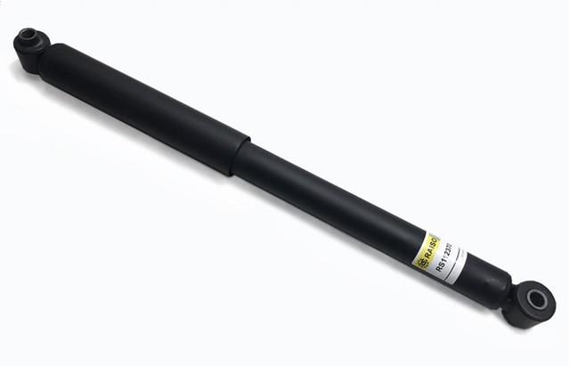 Amortecedor traseiro Raiso RS112370