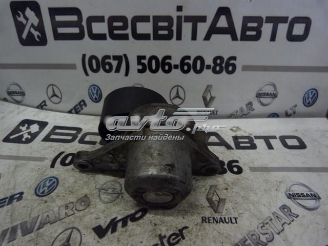 Compre 8200941079 Renault (RVI) Reguladora de tensão da correia de transmissão