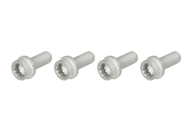 Parafuso da polia de cambota MS18 Continental/Siemens