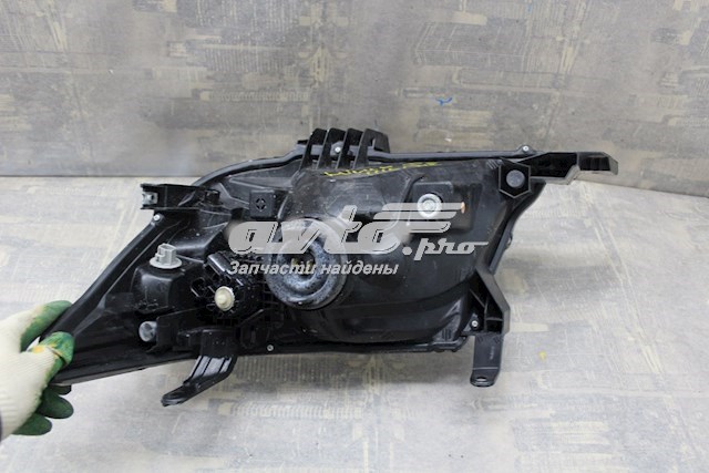 Compre 811100K401 Toyota Luz direita