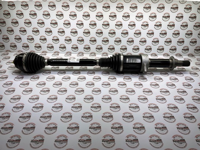 31605A61A38 BMW 