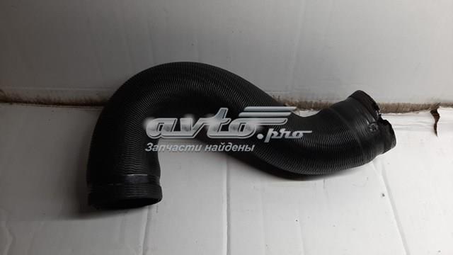 1614084380 Peugeot/Citroen Mangueira (cano derivado) de intercooler