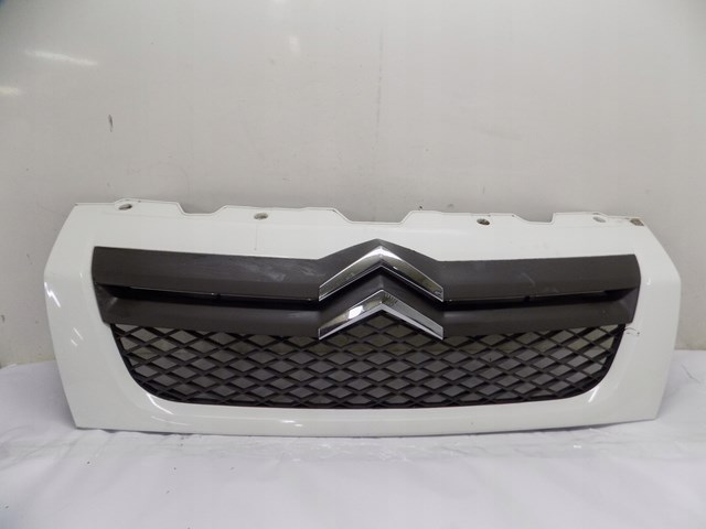 Grelha do radiador Peugeot/Citroen 1308069070