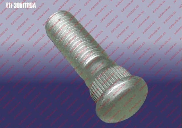 T113001111BA Chery Prego de roda traseiro/dianteiro