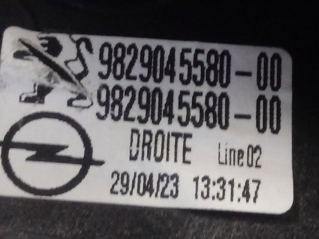 9829045580 Peugeot/Citroen Bomba a vácuo