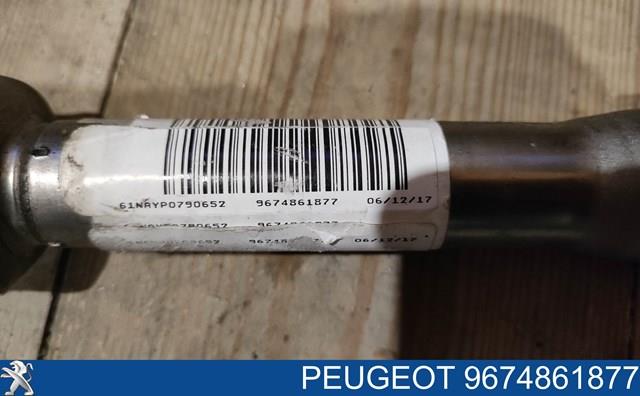 Compre 9674861877 Peugeot/Citroen 