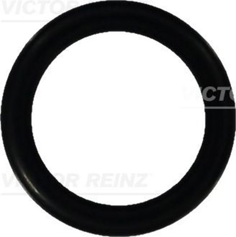 Vedante de bomba de óleo 407605210 Victor Reinz