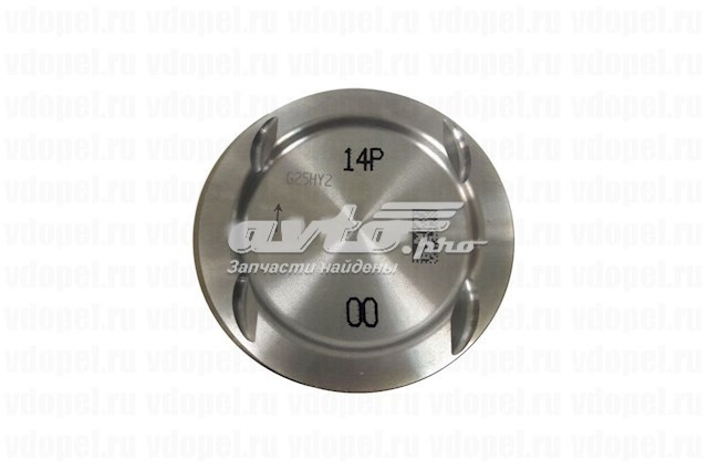 25198520 General Motors Pistão do kit para 1 cilindro, STD
