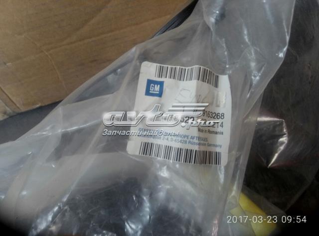 Protetores de lama traseiros, kit 1718529 General Motors